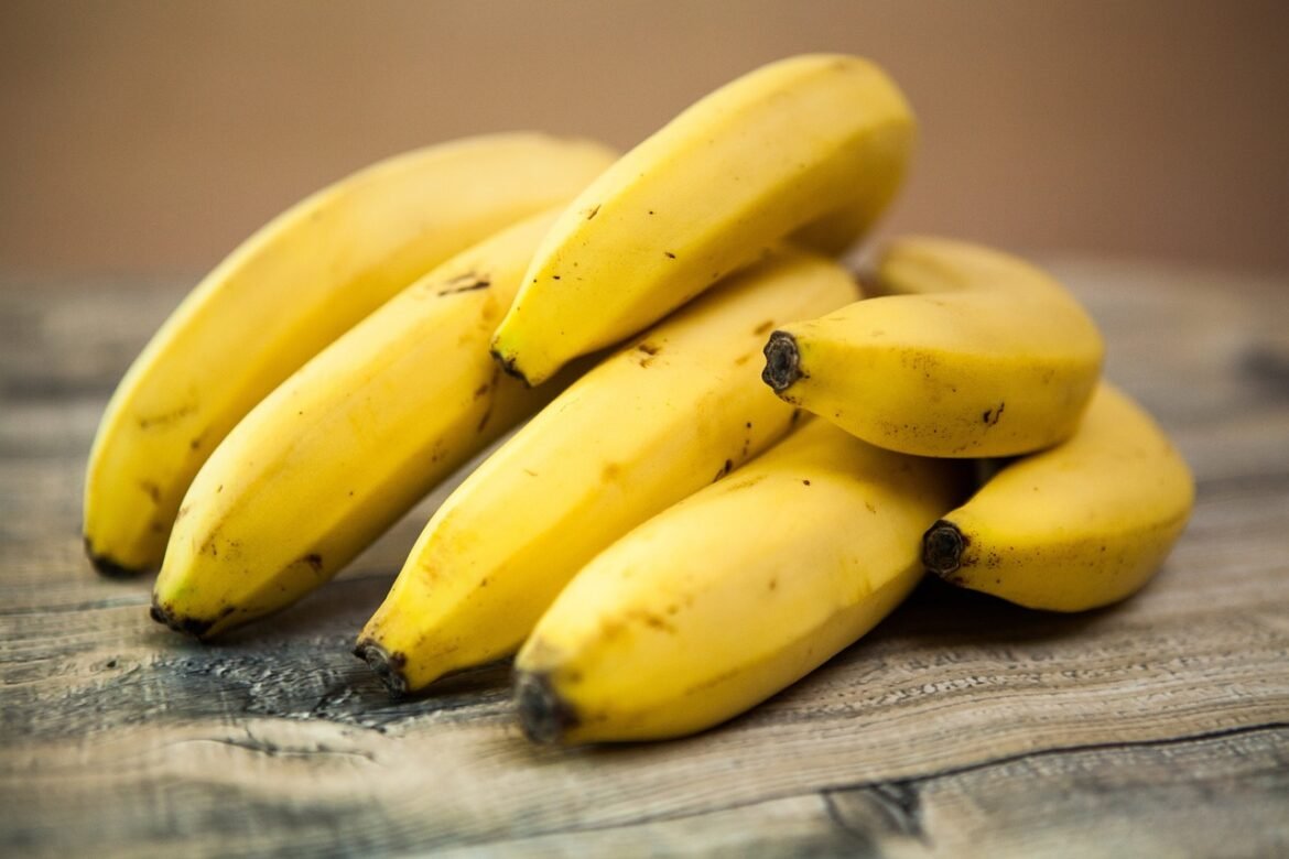 Can Shih Tzus Safely Enjoy Bananas Can Shih Tzus Safely Enjoy Bananas